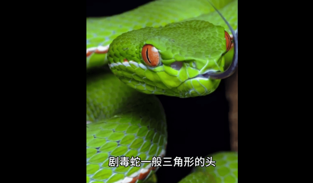 重要提醒！青岛一医院已接诊60多例，进入高发期