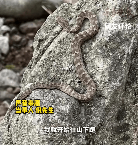 重要提醒！青岛一医院已接诊60多例，进入高发期