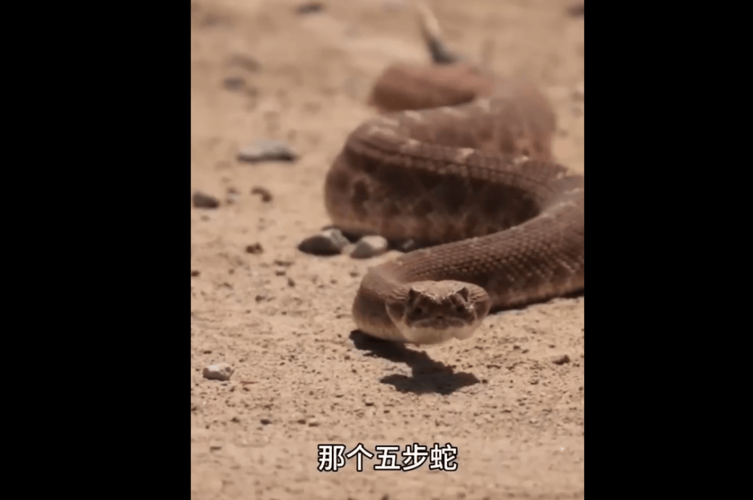 重要提醒！青岛一医院已接诊60多例，进入高发期