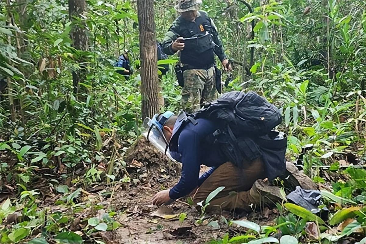 泰国柬埔寨冲突升级，佩通坦公开表示“会回来”