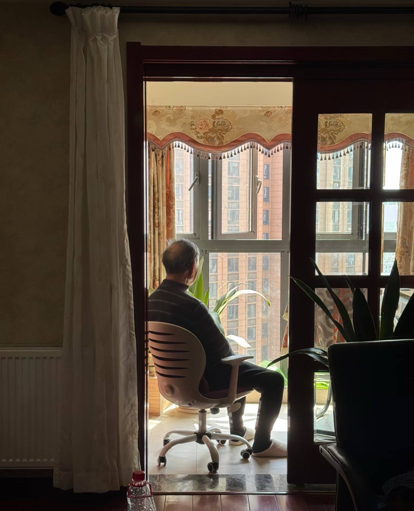 85岁教授家信走红 因孙子英语30分痛哭