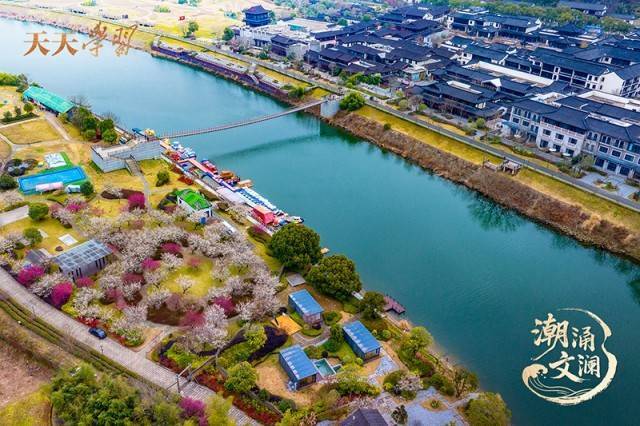 潮涌文澜丨越墨染千帆