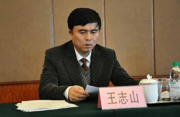 中央巡视期间，王志山主动投案