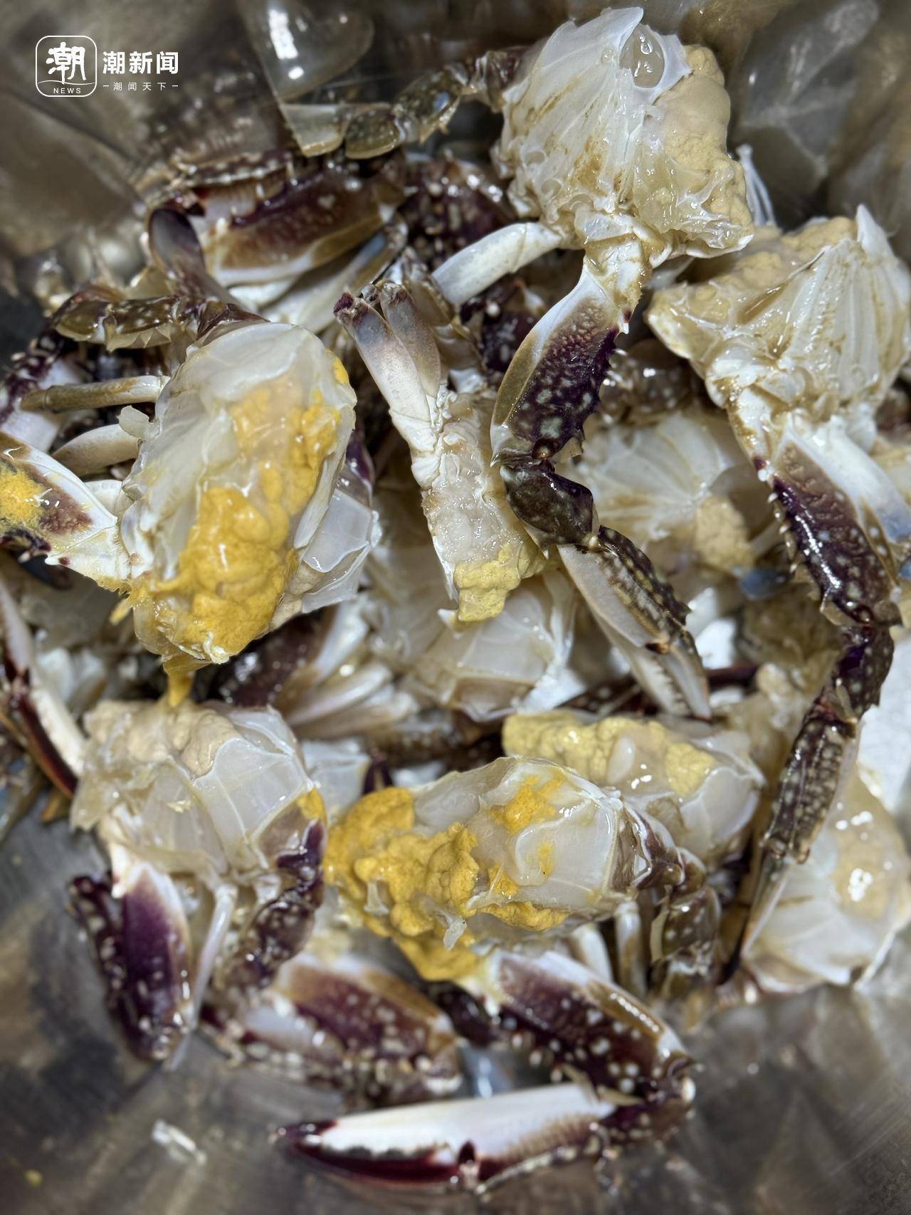 起猛了！东海梭子蟹2元/斤，杭州市场到货量惊人