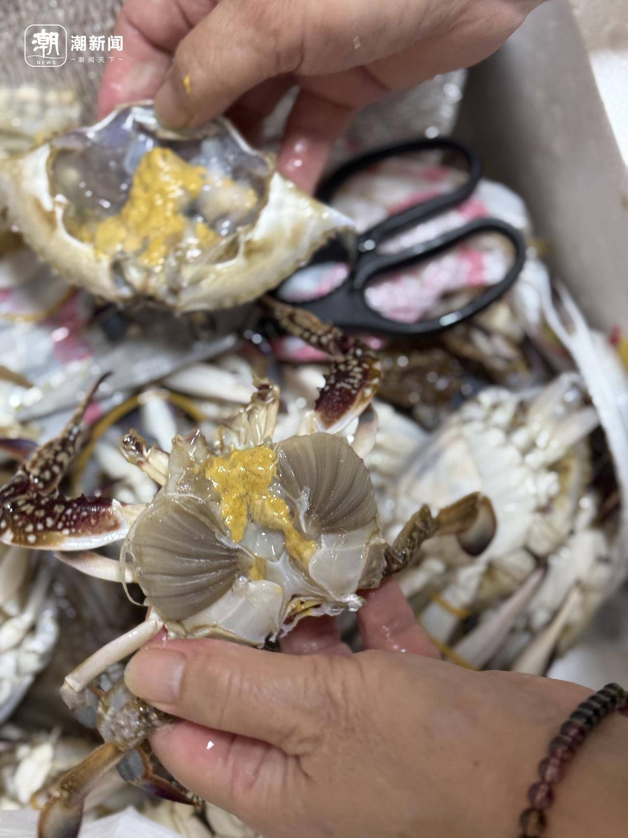 起猛了！东海梭子蟹2元/斤，杭州市场到货量惊人