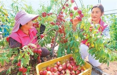 中国加力稳定和扩大就业