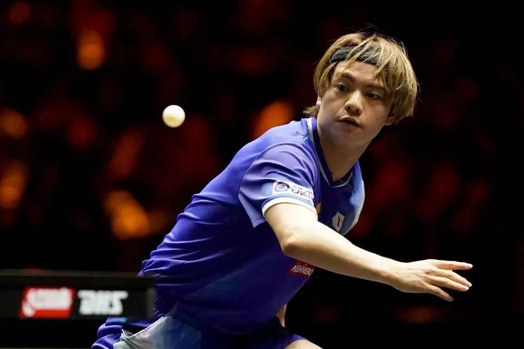 王艺迪完胜桥本,向鹏挺进8强 | WTT中国大满贯单打
