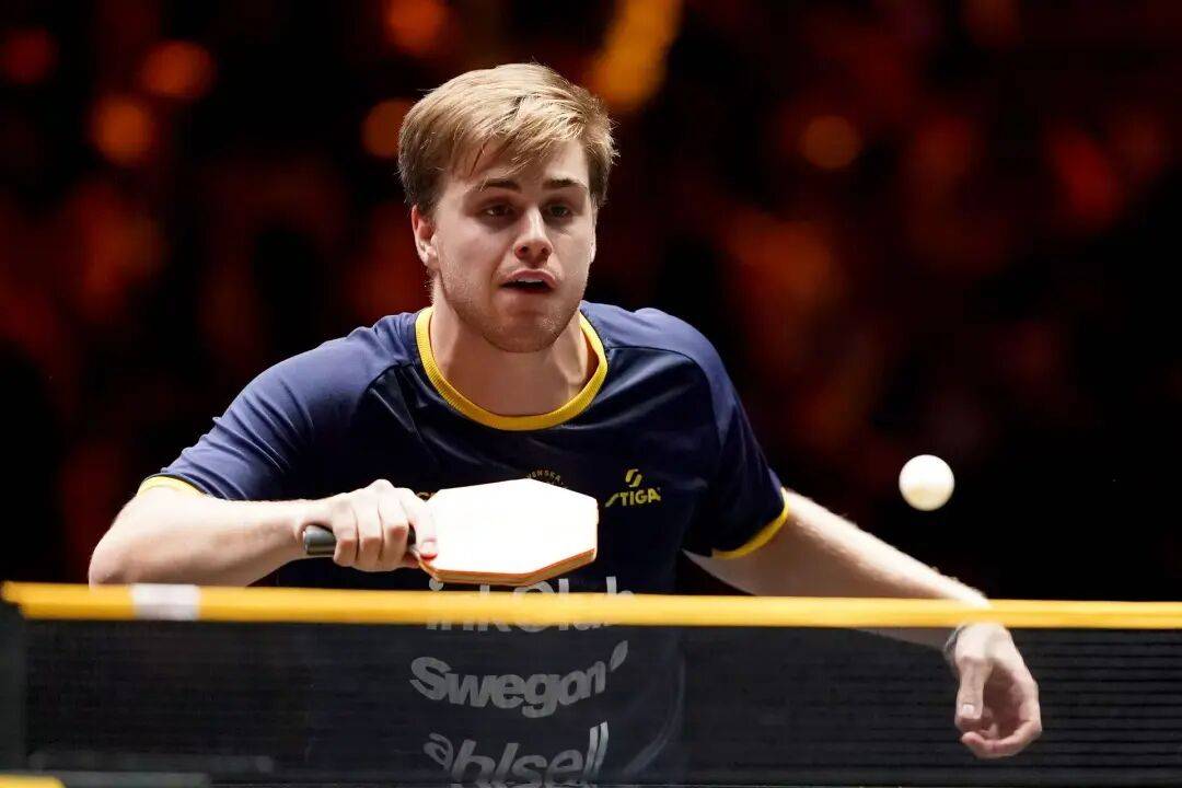 王艺迪完胜桥本,向鹏挺进8强 | WTT中国大满贯单打