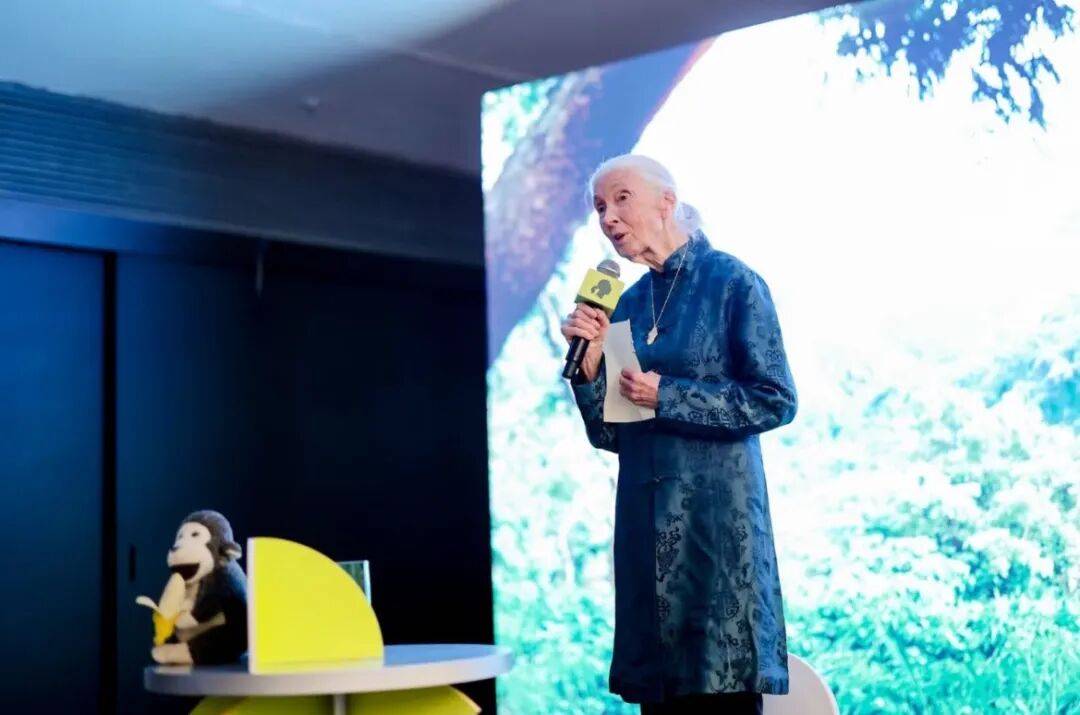 珍·古道尔：她无法看着动物受苦，就像没法看着人类受苦｜逝者