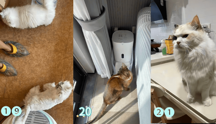 需求激增!男子长假连接270单,其中一笔收费8100元,“我有多套房,有双学位,客户很信任”;律师提醒→