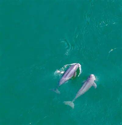 生态文明建设实现新进步(新时代画卷·决战决胜“十四五”)