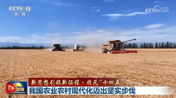 【新思想引领新征程·非凡“十四五”】我国农业农村现代化迈出坚实步伐