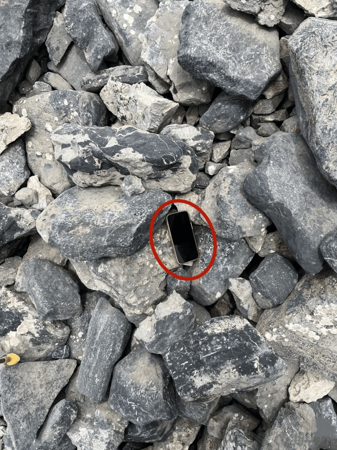 缘分！女子在新疆丢手机，3年后被人跨越5000公里送还