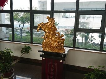 常熟贵金属(常熟贵金属交易中心)
