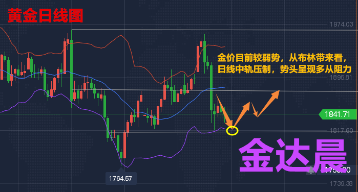 td贵金属(贵金属td软件下载)