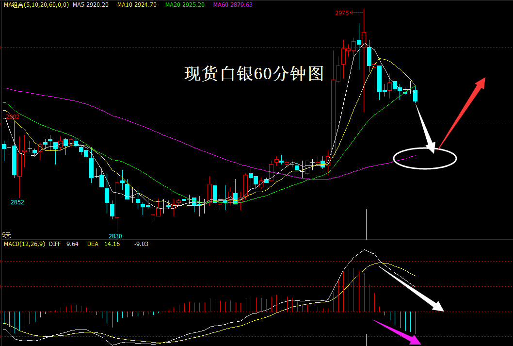 兆丰贵金属(兆丰金融控股有限公司)