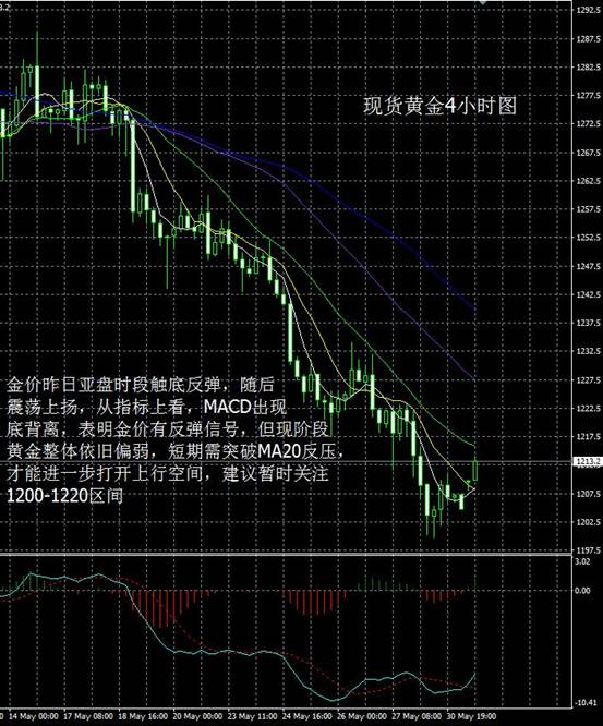 环球贵金属(金隆环球贵金属)
