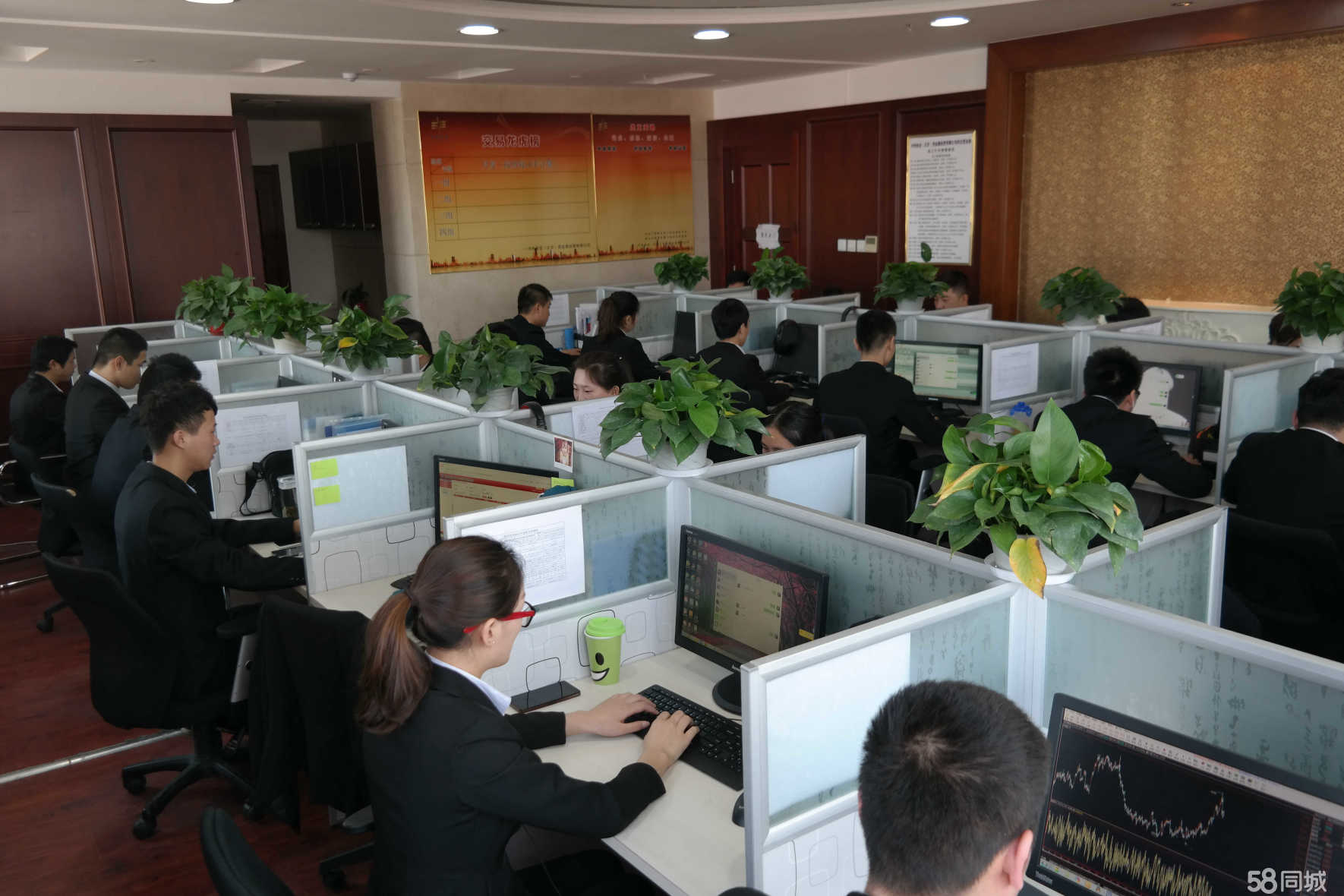金泰贵金属(贵金属行情融通金)