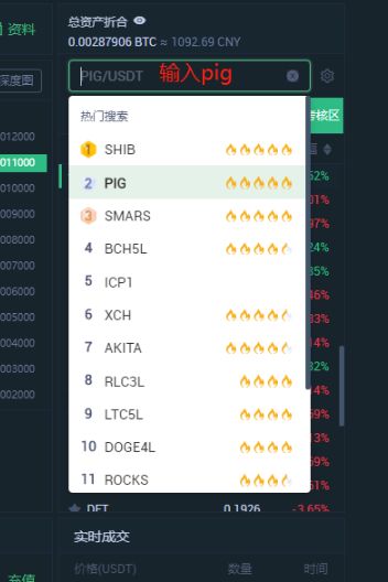 PIG币(pig币行情)