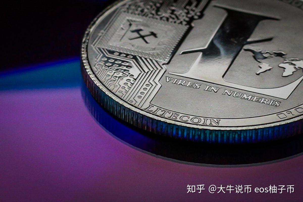 柚子币(柚子币是骗局吗)