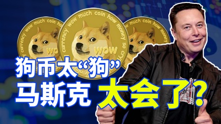 马斯克狗狗币(马斯克狗狗币诉讼最新消息)