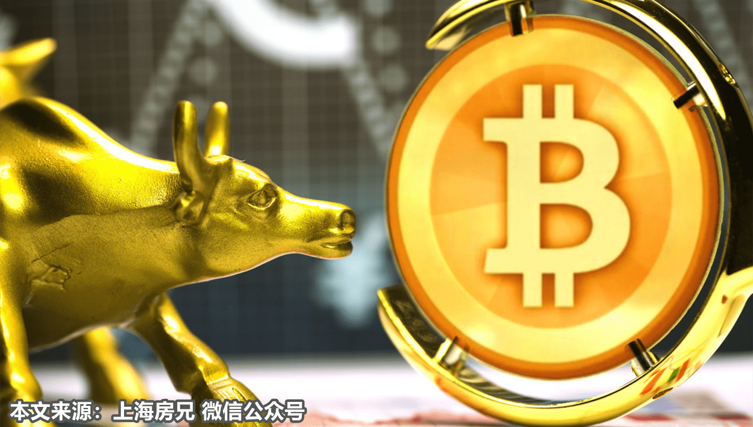 柚子币(柚子币今天的价格)