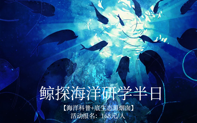 鲸探(鲸探数字藏品交易平台)