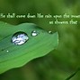 VERSE(verse与poem的区别)