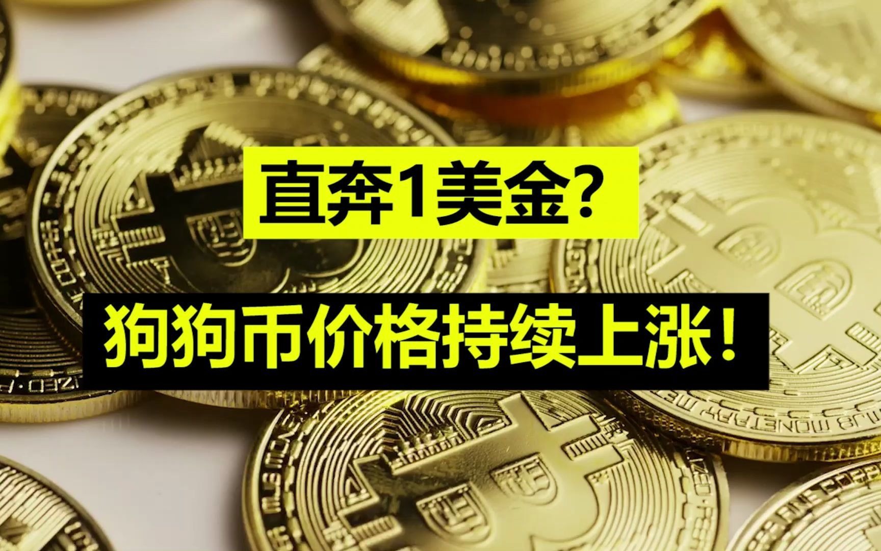 狗狗币暴涨(狗狗币暴涨28万倍)
